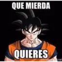 QUE MIERDA QUIERES nat