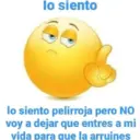 lo siento lo siento pelirroja pero NO voy a dejar que entres a mi vida para que la arruines