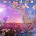me encantan las tetas