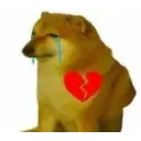 Meme anjing 8