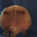 Garfield Movie 😸📽2024 💖MOV 12