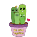 Cacti Friends 1