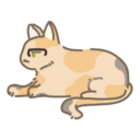 cats 4