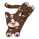 cats 2