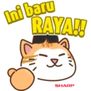 Cun Cun Raya Cat 5