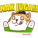 Cun Cun Raya Cat 2