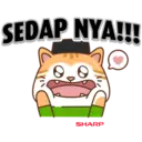 Cun Cun Raya Cat 7