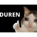 Memes de Gatos 1