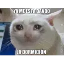 Memes de Gatos 2