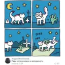 Мемы 3