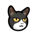 CAT EXPRESSIONS Mov 23