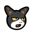 CAT EXPRESSIONS Mov 20