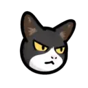 CAT EXPRESSIONS Mov 19