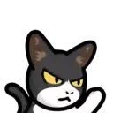 CAT EXPRESSIONS Mov 3