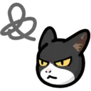 CAT EXPRESSIONS Mov 4