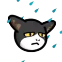 CAT EXPRESSIONS Mov 16