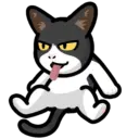 CAT EXPRESSIONS Mov 12