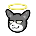 CAT EXPRESSIONS Mov 8