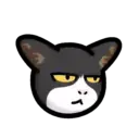 CAT EXPRESSIONS Mov 10