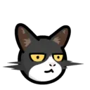 CAT EXPRESSIONS Mov 18