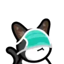 CAT EXPRESSIONS Mov 1