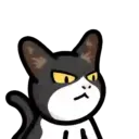 CAT EXPRESSIONS Mov 9