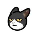 CAT EXPRESSIONS Mov 25