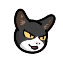 CAT EXPRESSIONS Mov 2
