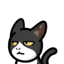 CAT EXPRESSIONS Mov 13