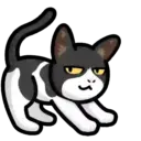 CAT EXPRESSIONS Mov 7