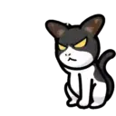 CAT EXPRESSIONS Mov 11