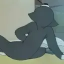 Gato olhando atrás