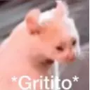 Ya quisieras gato😂 6