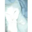 Gatitos  5