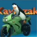 los pingüinos de pistas gascar  | via sticked.app 1