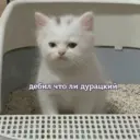 дебил что ли дурацкий