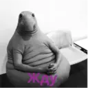 memesss 3