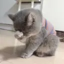 hehe 7