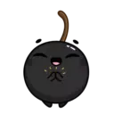 Black Cherry 1