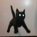 °~cute cats~° 3