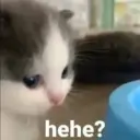 hehe/not hehe 1