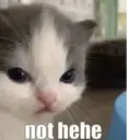 hehe/not hehe 2