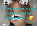 Я Лютый Далматинец лайка 3