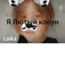 Я Лютый Далматинец лайка 2