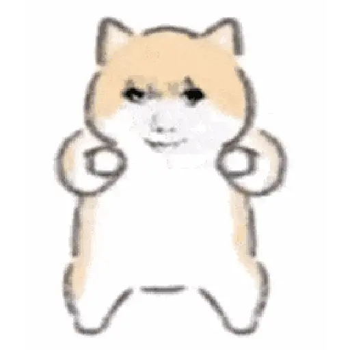 🧿Gatitos Mix🐈🐱🐾 15
