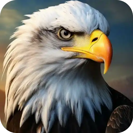 Aguilas🦅💞1🇵🇪Clásica 27