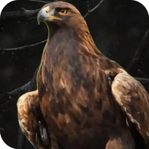 Aguilas🦅💞1🇵🇪Clásica 9