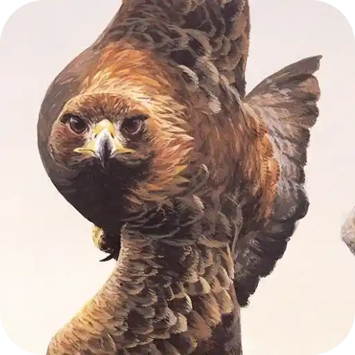 Aguilas🦅💞1🇵🇪Clásica 15