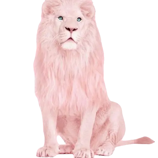 Animales en color Rosa💞1🇵🇪Clásica 29