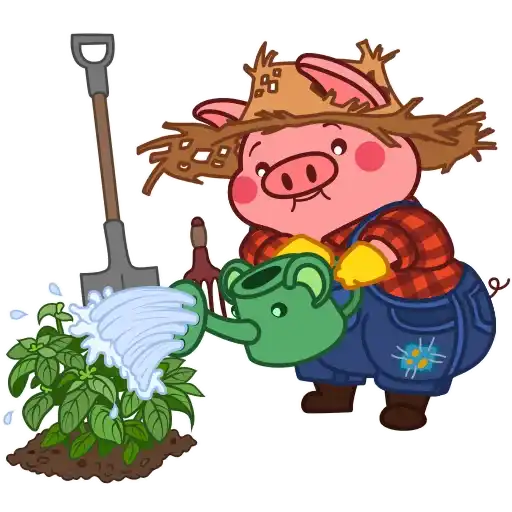 Cerditos Pig💞1🇵🇪Clásica 8